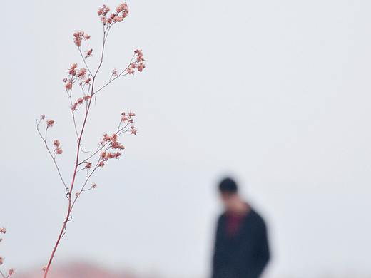 门前一条河