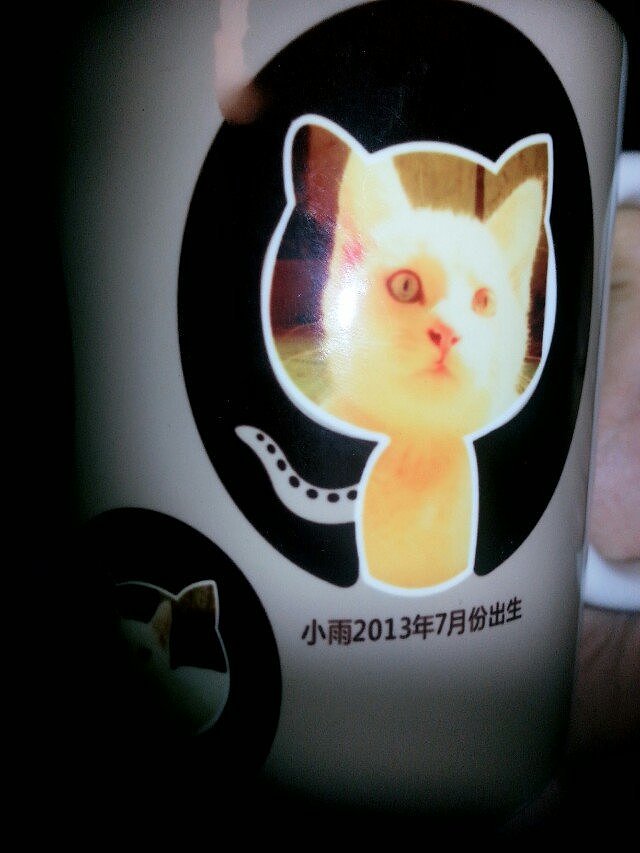 辛勤的猫奴一枚（图ZMjYxMDQwODQ=） - 其他 - 站酷设计师夏尛寞滴原创素材 - 站酷ZCOOL
