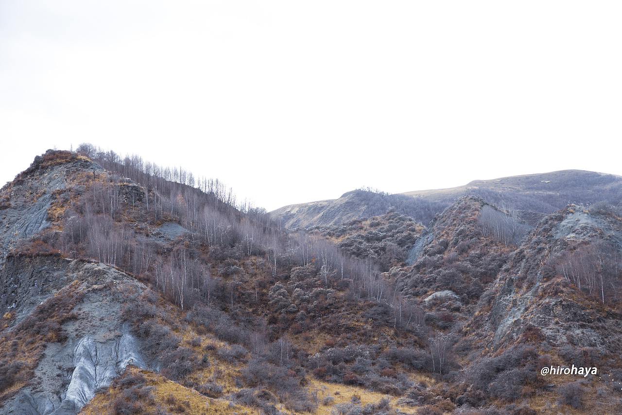 为你看尽千山雪 为你挡众神旨意
