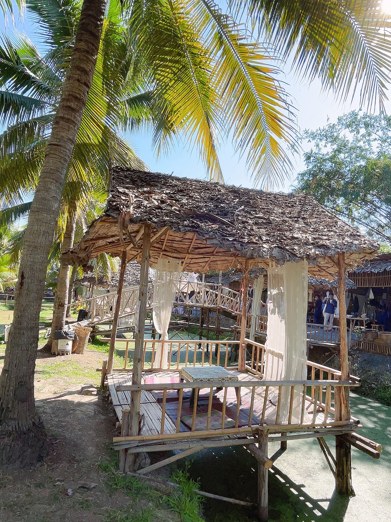 泰国🇹🇭清迈の椰林集市🌴太美了吧
