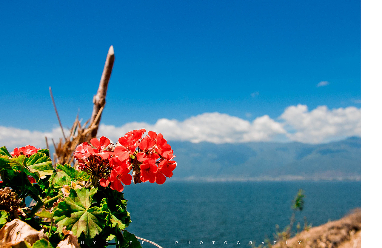 送你一个大理！（图ZMjk1MTcxNTI=） - 风光摄影 - 站酷设计师巩孝利Hyolee原创素材 - 站酷ZCOOL