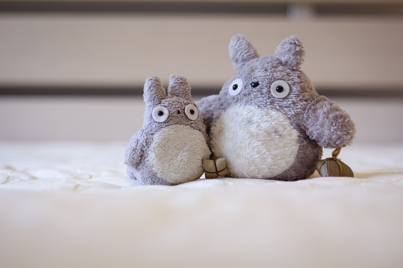 给我来打小龙猫