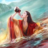 怀悟的头像