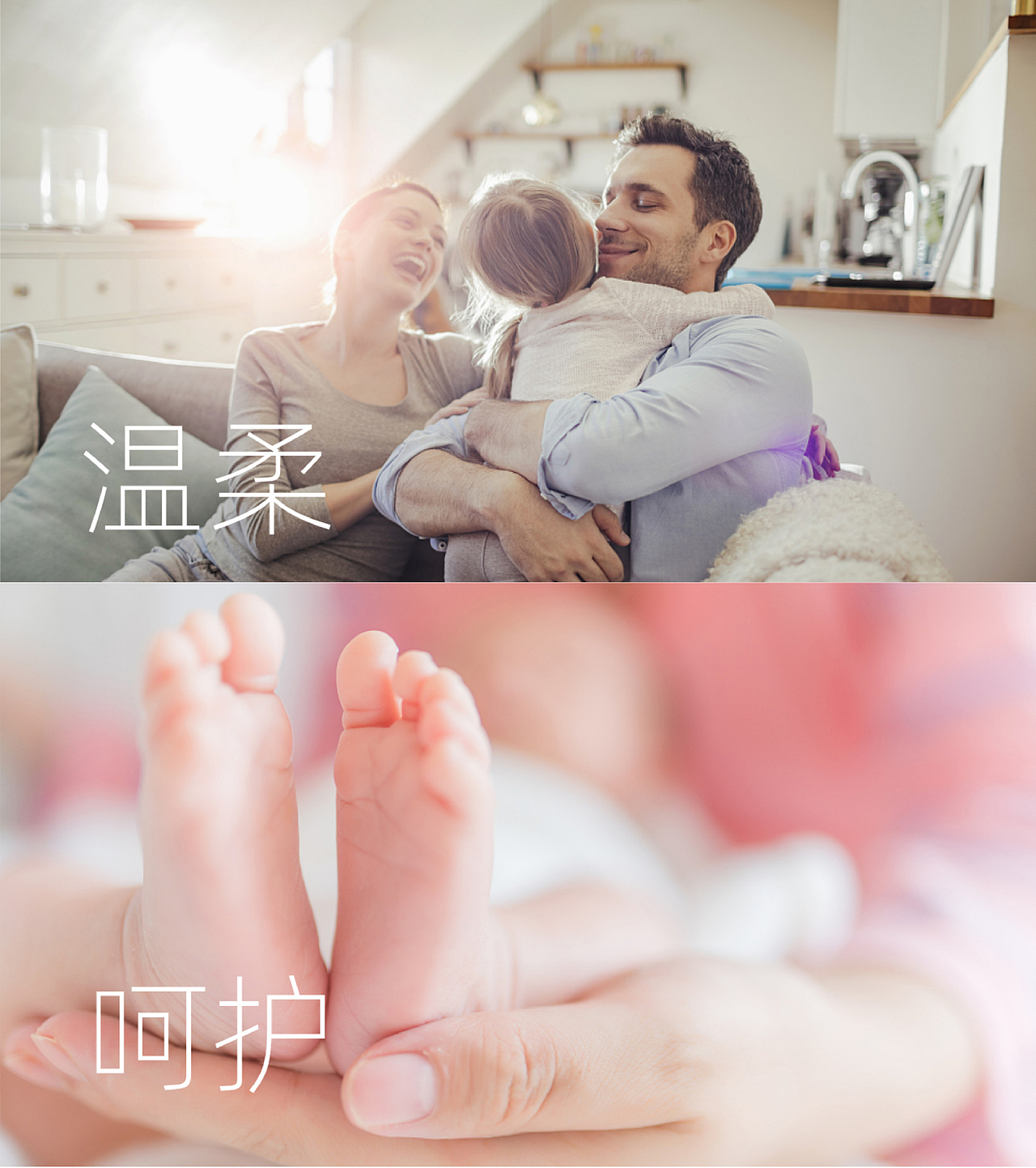 探思文创 × 贝德朵朵【品牌视觉升级】