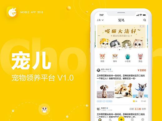 宠儿-宠物领养app项目总结