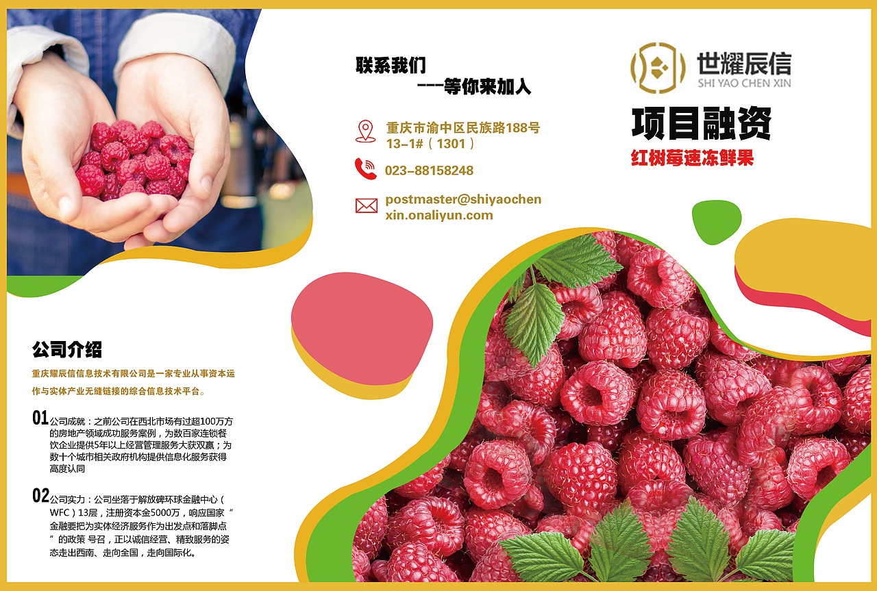 折页（图ZMjMyMTg1Mjg0） - 宣传物料 - 站酷设计师Nyssa原创素材 - 站酷ZCOOL