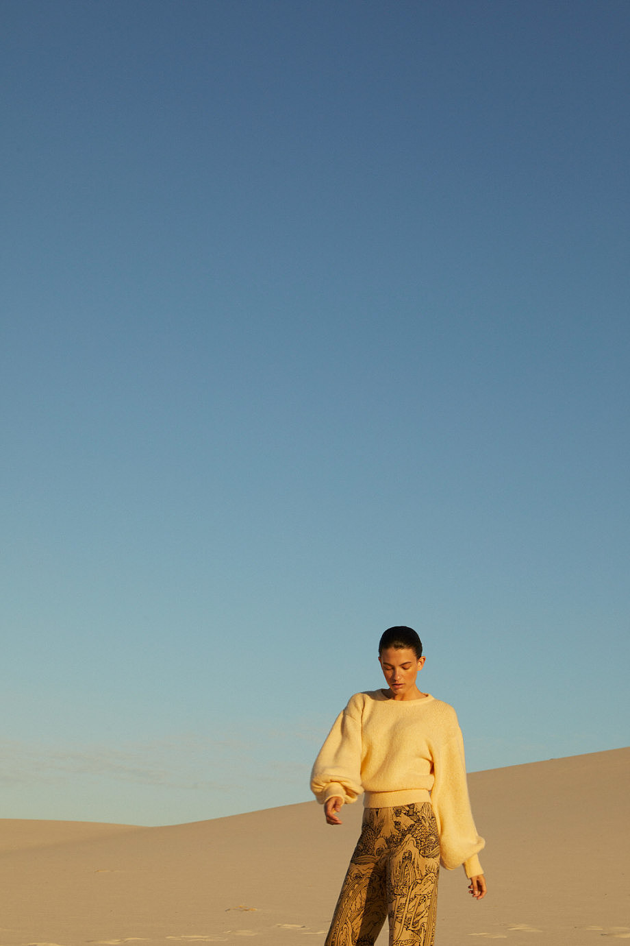 摄影参考Friendly Hunting