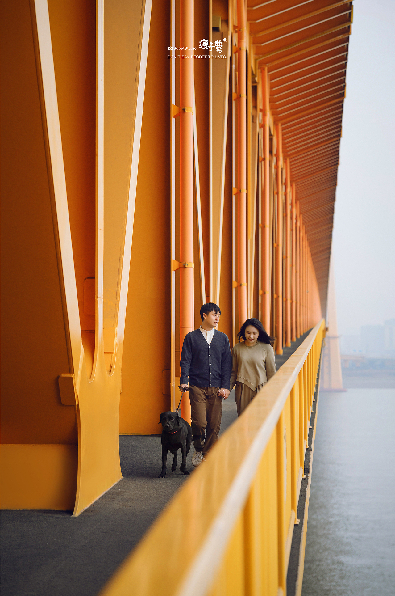 武汉杨泗港长江大桥（图ZMjg1Nzc1OTY4） - 宠物摄影 - 站酷设计师宠物摄影师瘦子费原创素材 - 站酷ZCOOL