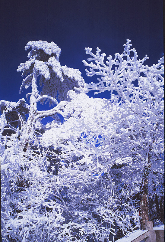 黄山徽州各时期胶片摄影