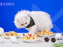 宠物用品