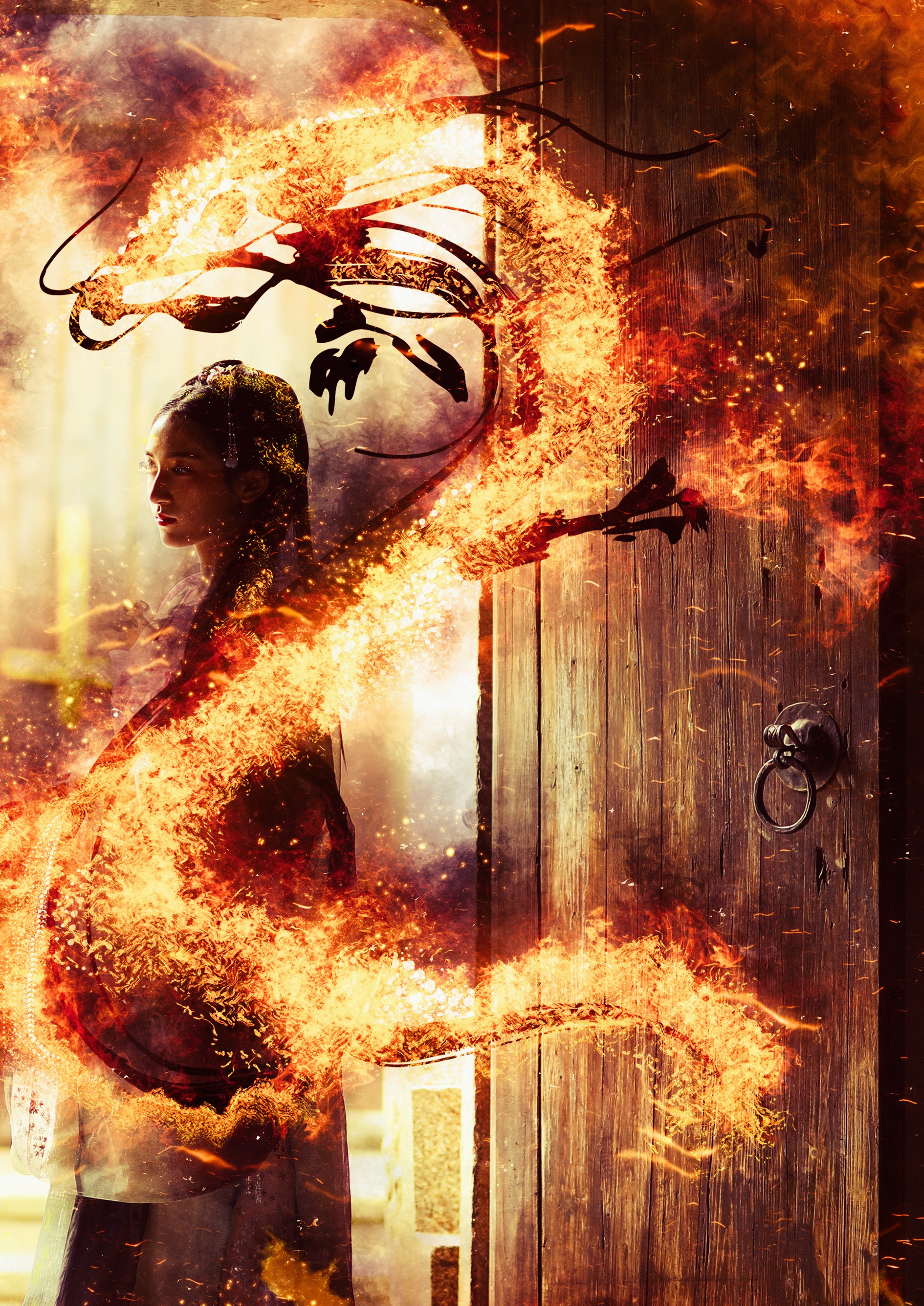 焚心以火·朝歌