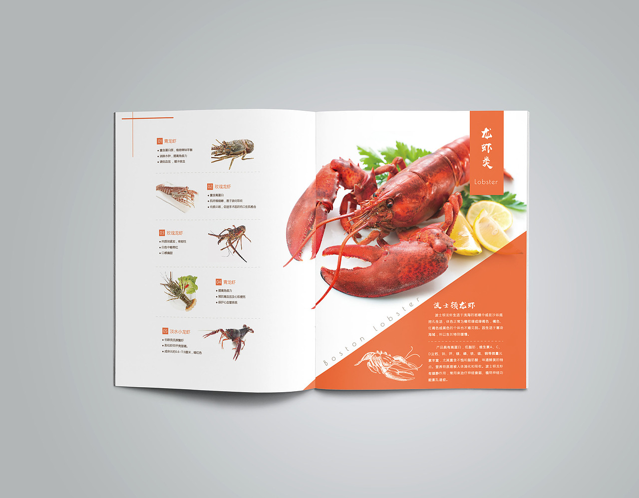 生鲜画册设计作品（图ZMTIwMjk2MjE2） - 书籍/画册 - 站酷设计师Se7en_1127原创素材 - 站酷ZCOOL
