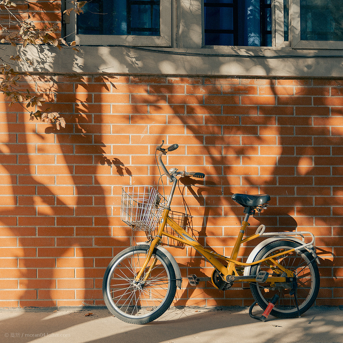 散步社日常隨拍（圖ZMTg4NDA2NTky） - 產(chǎn)品攝影 - 站酷設計師莫然_xs原創(chuàng)素材 - 站酷ZCOOL