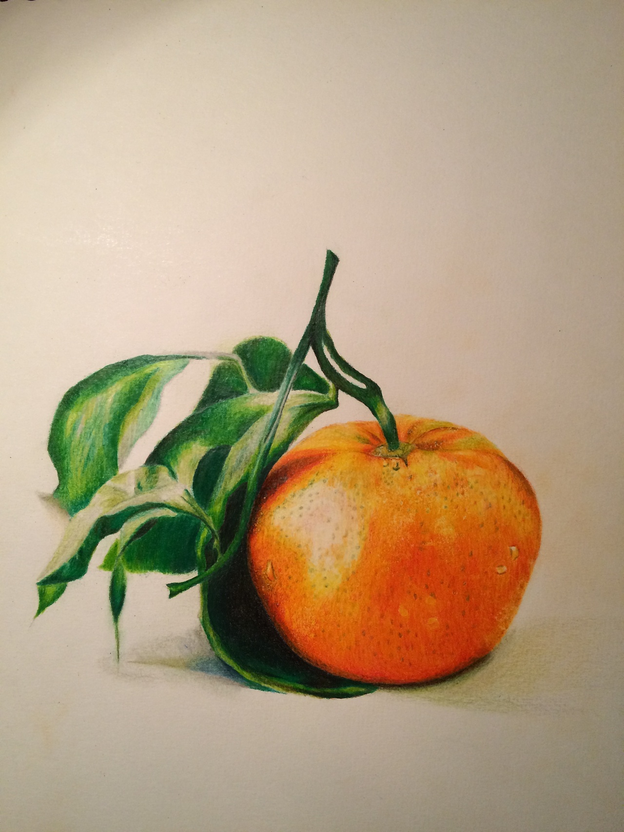 静物 柑橘,素材选自网络照片