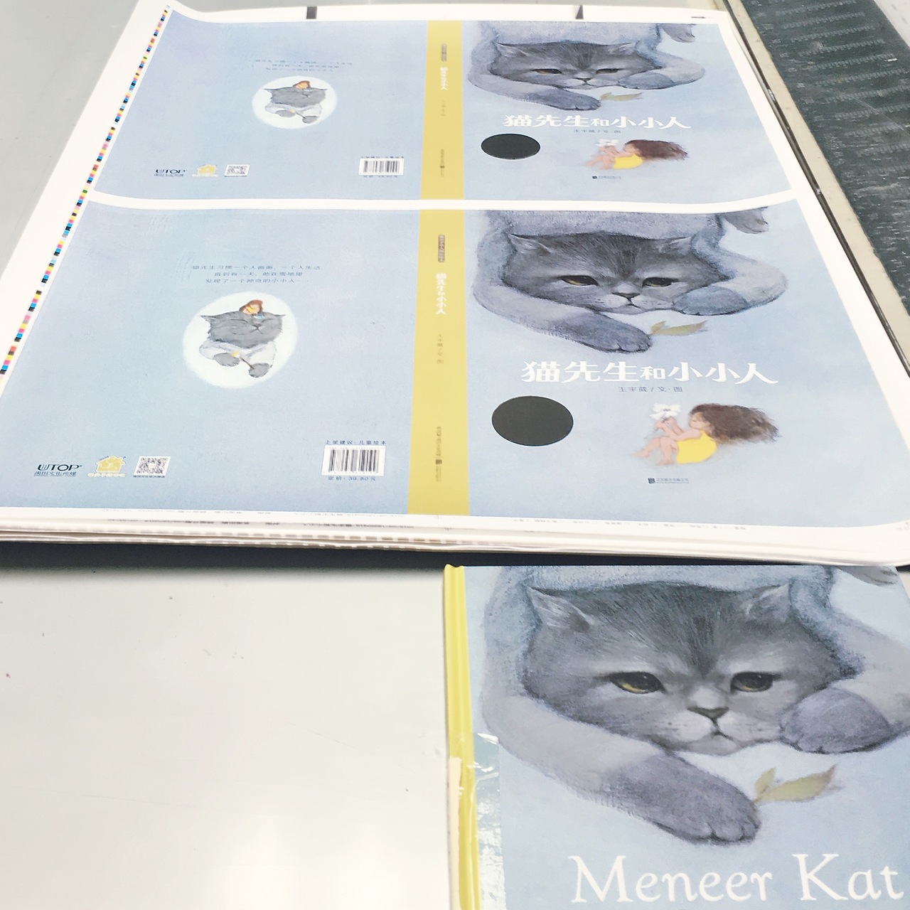 《猫先生和小小人》中文版绘本来咯~