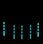 行為藝術(shù)伽的個(gè)人主頁(yè)（背景預(yù)覽） - 主頁(yè)背景設(shè)置 - 站酷設(shè)計(jì)師行為藝術(shù)伽原創(chuàng)素材 - 站酷ZCOOL