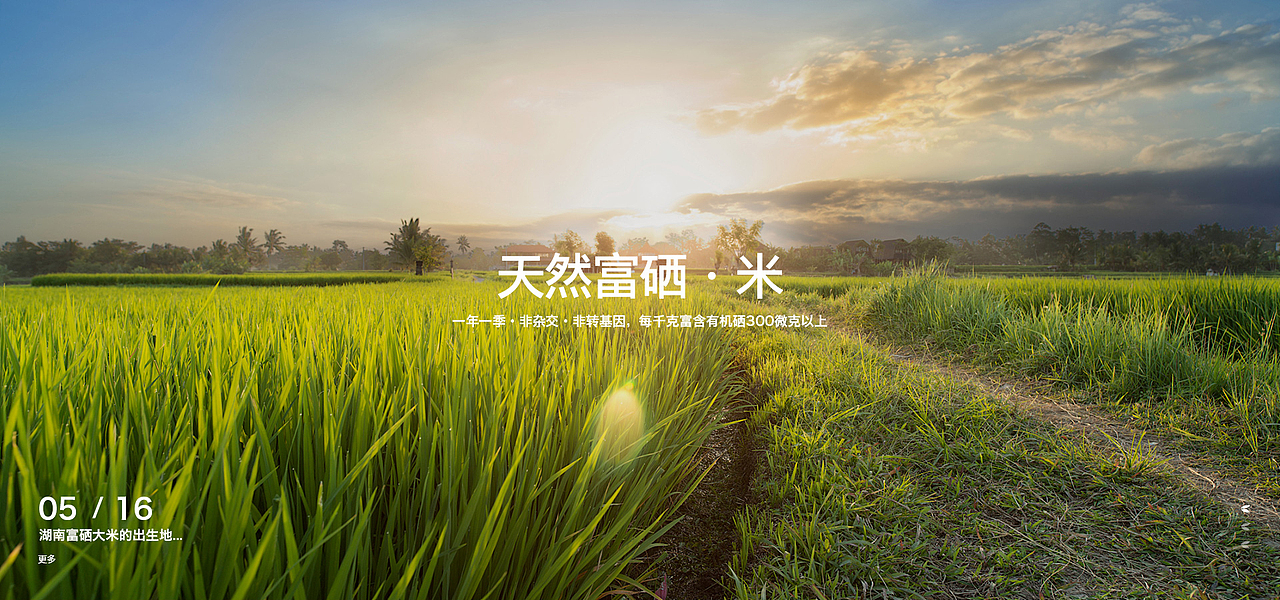 大家發(fā)食品網(wǎng)頁設(shè)計（圖ZNDc1ODE2MDg=） - 企業(yè)官網(wǎng) - 站酷設(shè)計師DDDelF原創(chuàng)素材 - 站酷ZCOOL