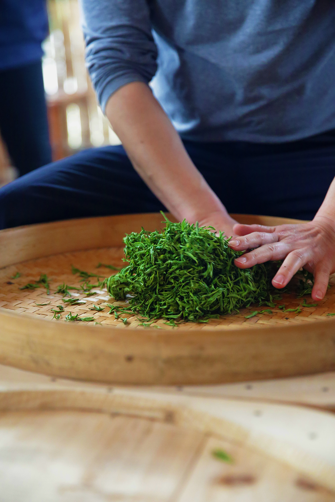古法手工制茶明前玲珑王小叶茶