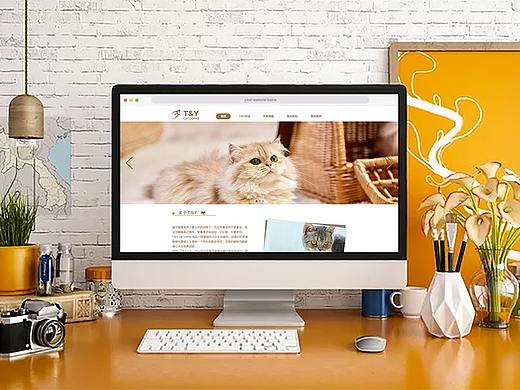 T&Y CAT COFFEE 网站设计及浏览动效-V 1.0版