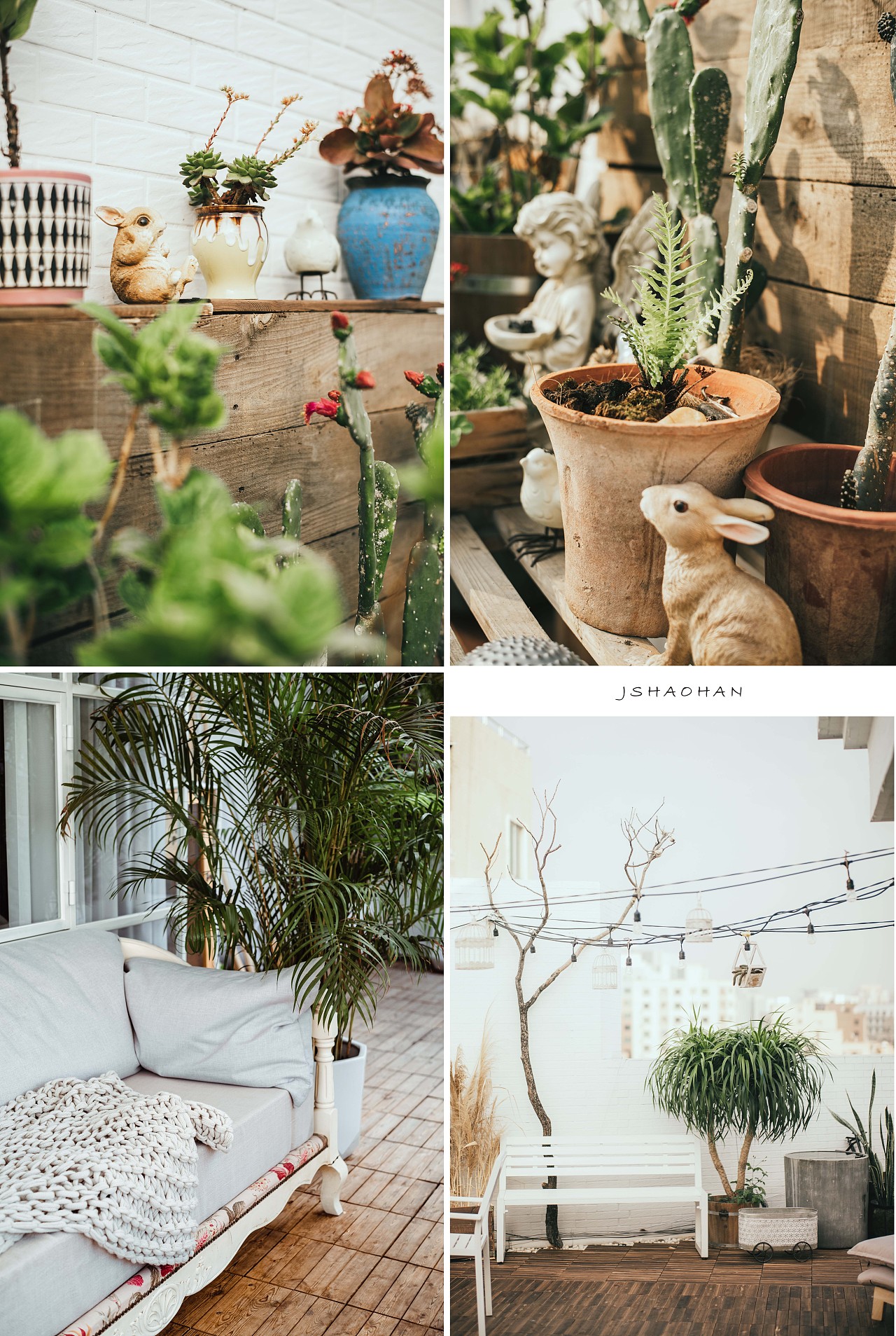 起了个早,给我的花园拍个写真