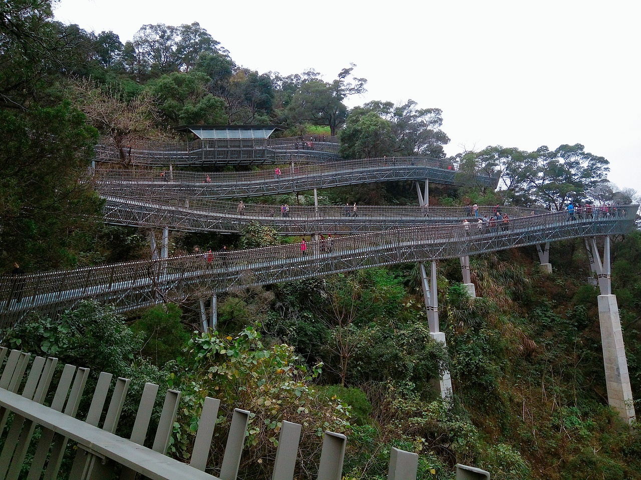 福道―福山郊野公园