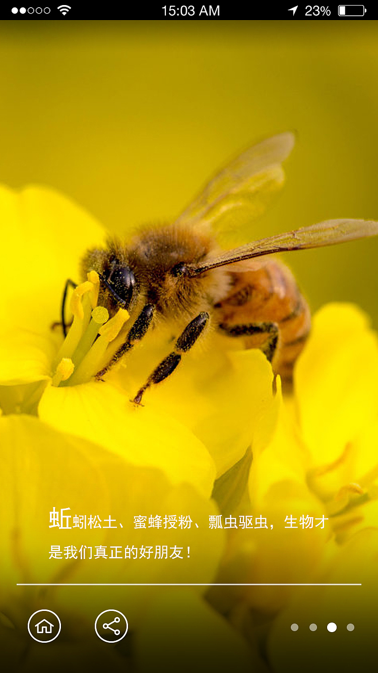 APP练习（图ZNDgzMzgwOTY=） - APP界面 - 站酷设计师Ah丶Q原创素材 - 站酷ZCOOL