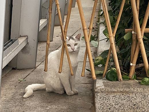 踏着春天的苗头📷