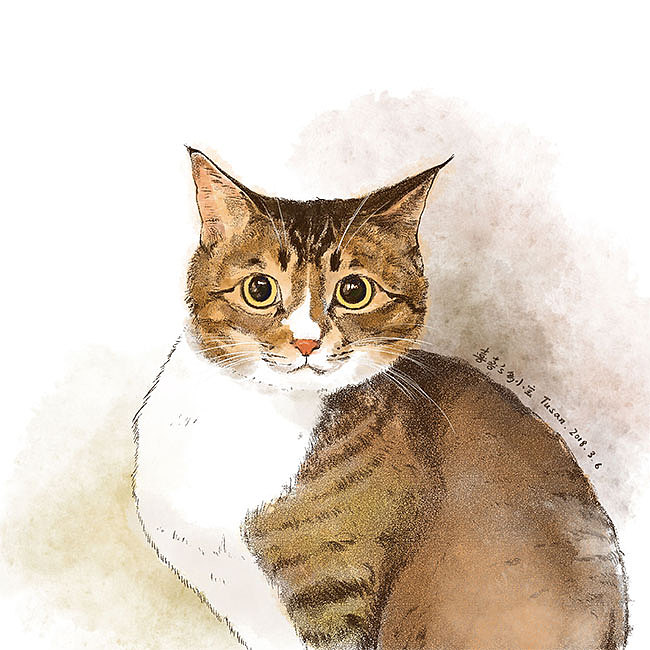 画了10只猫(图ZMTgzOTQ1NjYw) - 艺术插画 - 站酷设计师Tusan了了原创素材 - 站酷ZCOOL