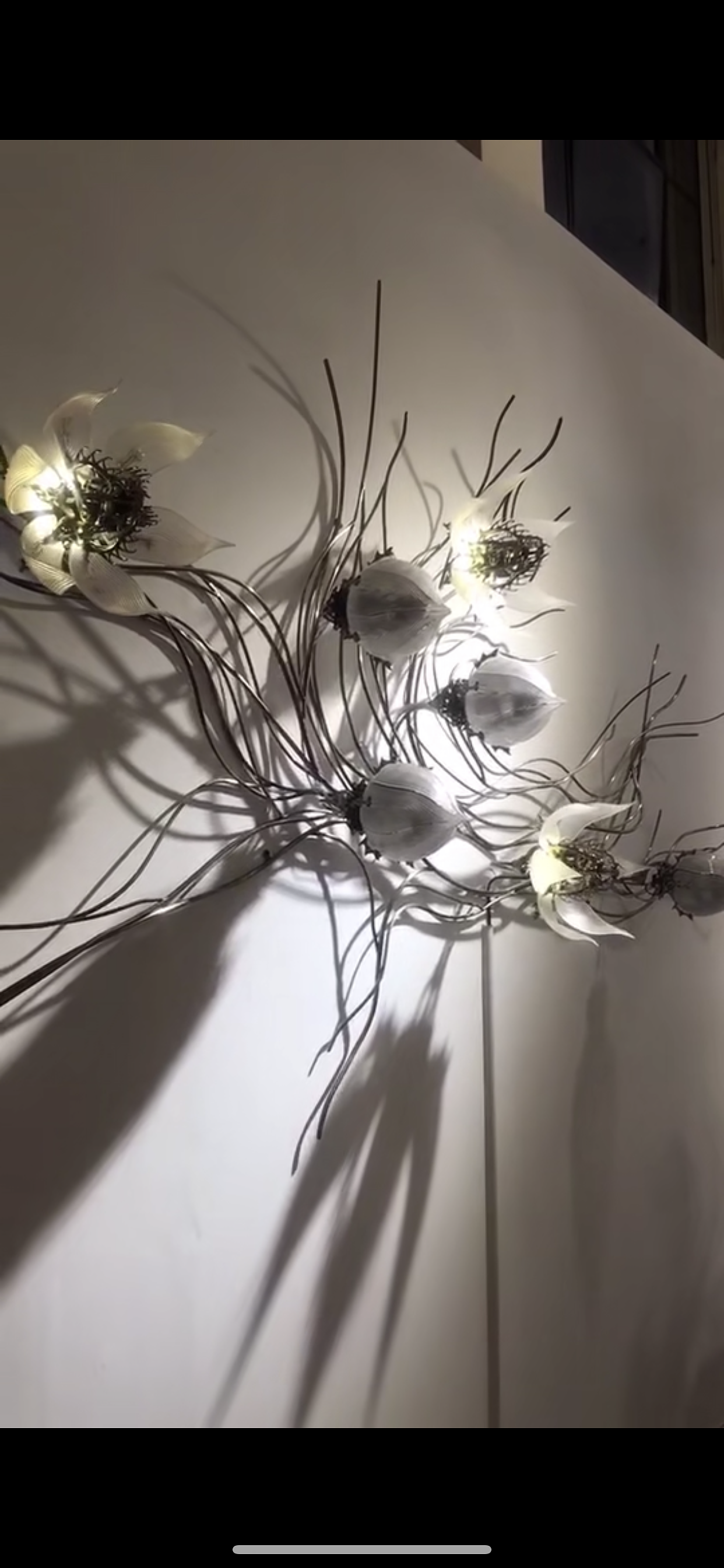 植物装置艺术彼岸花