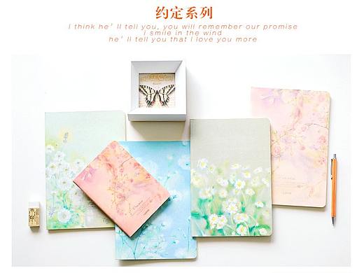 手绘花卉活页本册设计——约定