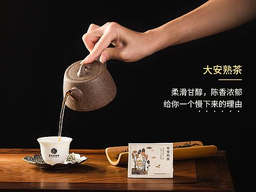 普洱茶宣传海报 茶叶 黄莺古树茶