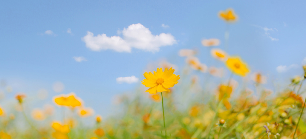 小ba戏的个人主页（封面预览） - 主页封面设置 - 站酷设计师小ba戏原创素材 - 站酷ZCOOL