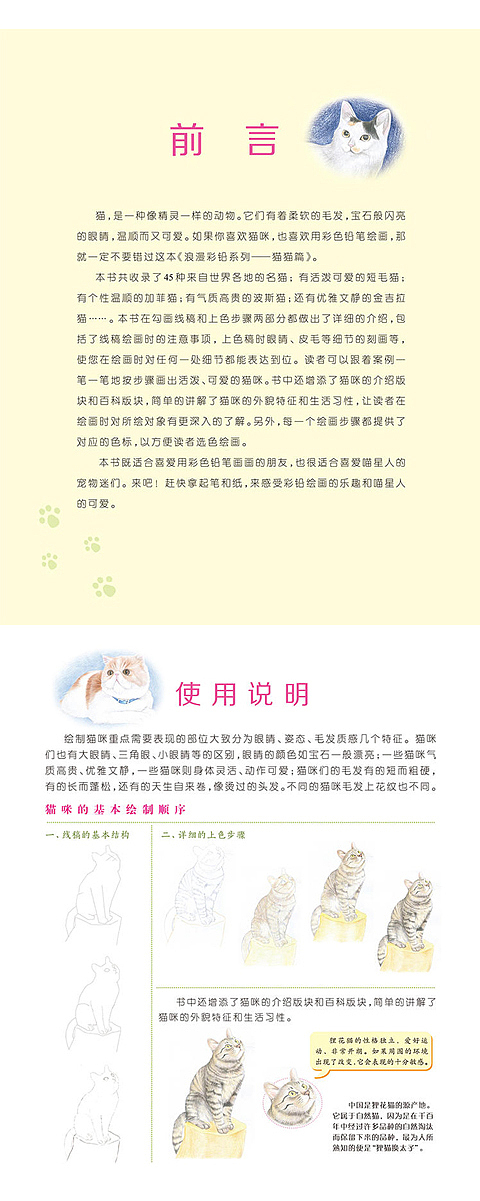 彩色铅笔绘画书--猫猫篇 详情页