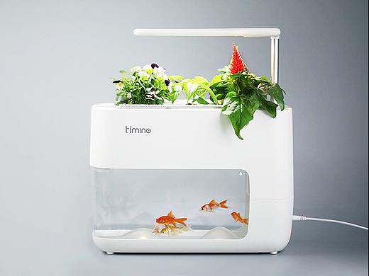 6鱼菜共生桌面系统设计