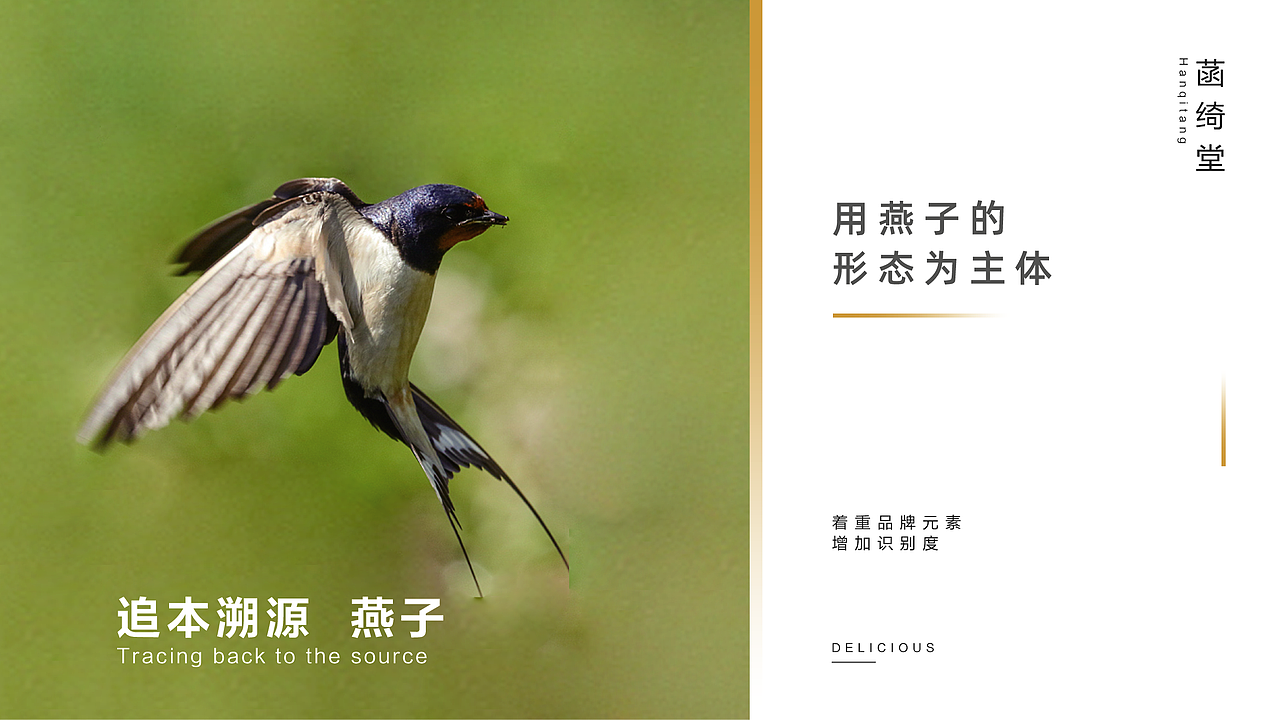 菡绮堂-燕窝-HANQITANG（图ZMjM5MTQzMDgw） - 品牌 - 站酷设计师一顿小土豆原创素材 - 站酷ZCOOL