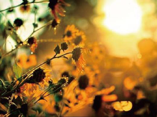 画册（个人主页-ZMjUxODE2NTI=） - 书籍/画册 - 站酷设计师君君2025原创素材 - 站酷ZCOOL