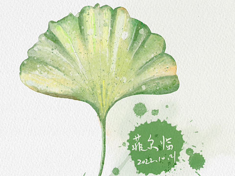 水彩临摹：银杏树叶