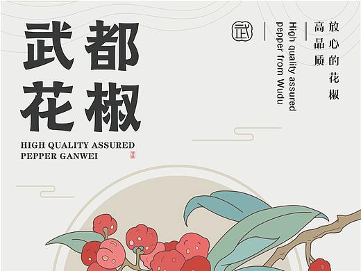 武都花椒丨系列包装设计