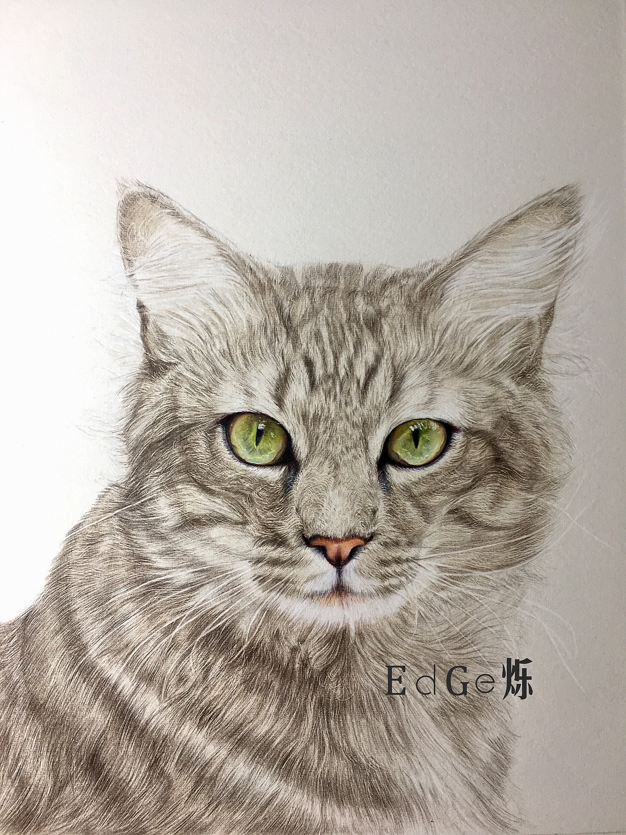 edge烁 彩铅作品《阿狸》