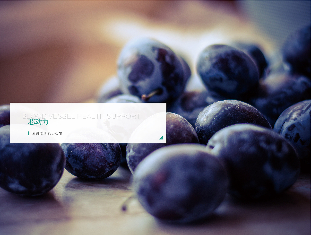 保健局画册 ( Monkey Sir 作品 )