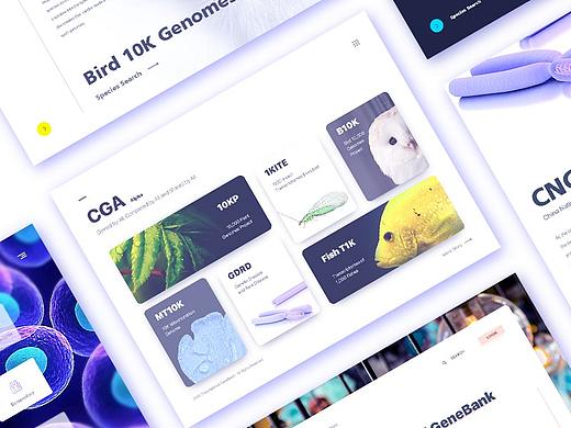 概念设计||Genebank