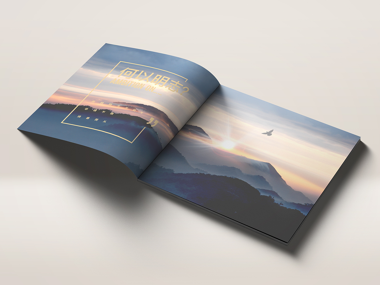 深圳中融美国际传媒