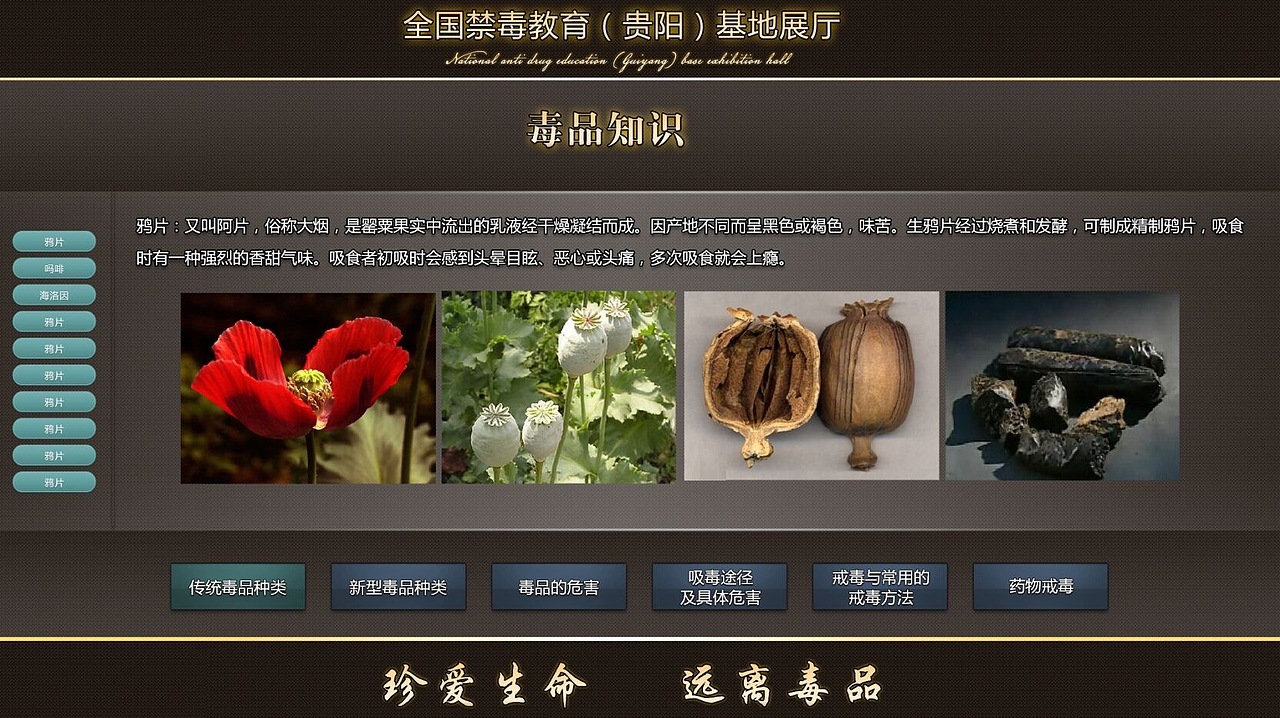 全国禁毒教育多媒体展项（图ZNDQwMDY0MTY=） - 其他 - 站酷设计师非常印象007原创素材 - 站酷ZCOOL
