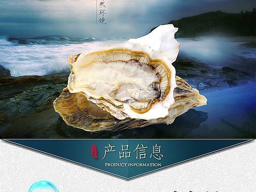 生蚝详情页面