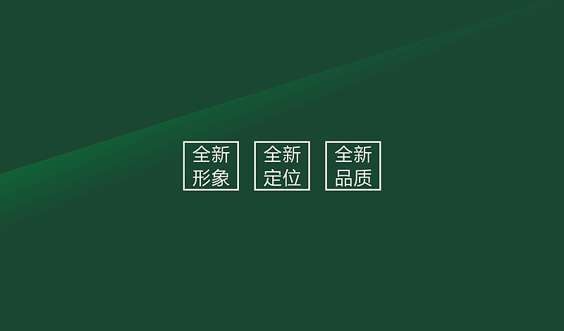 "三亩良田"LOGO设计飞机案例
