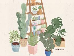植物插画