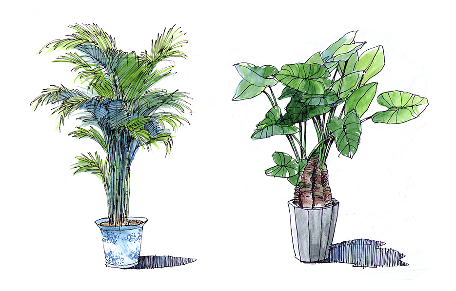 室内的一些手绘作品