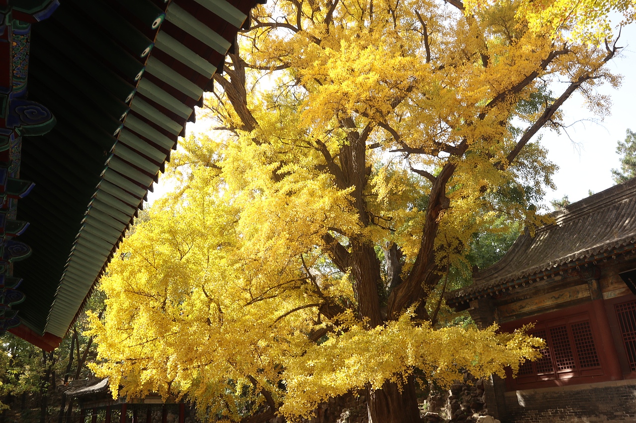 《眼前便是最好》（图ZMzA5MjA0Njg4） - 其他摄影 - 站酷设计师简浩原创素材 - 站酷ZCOOL