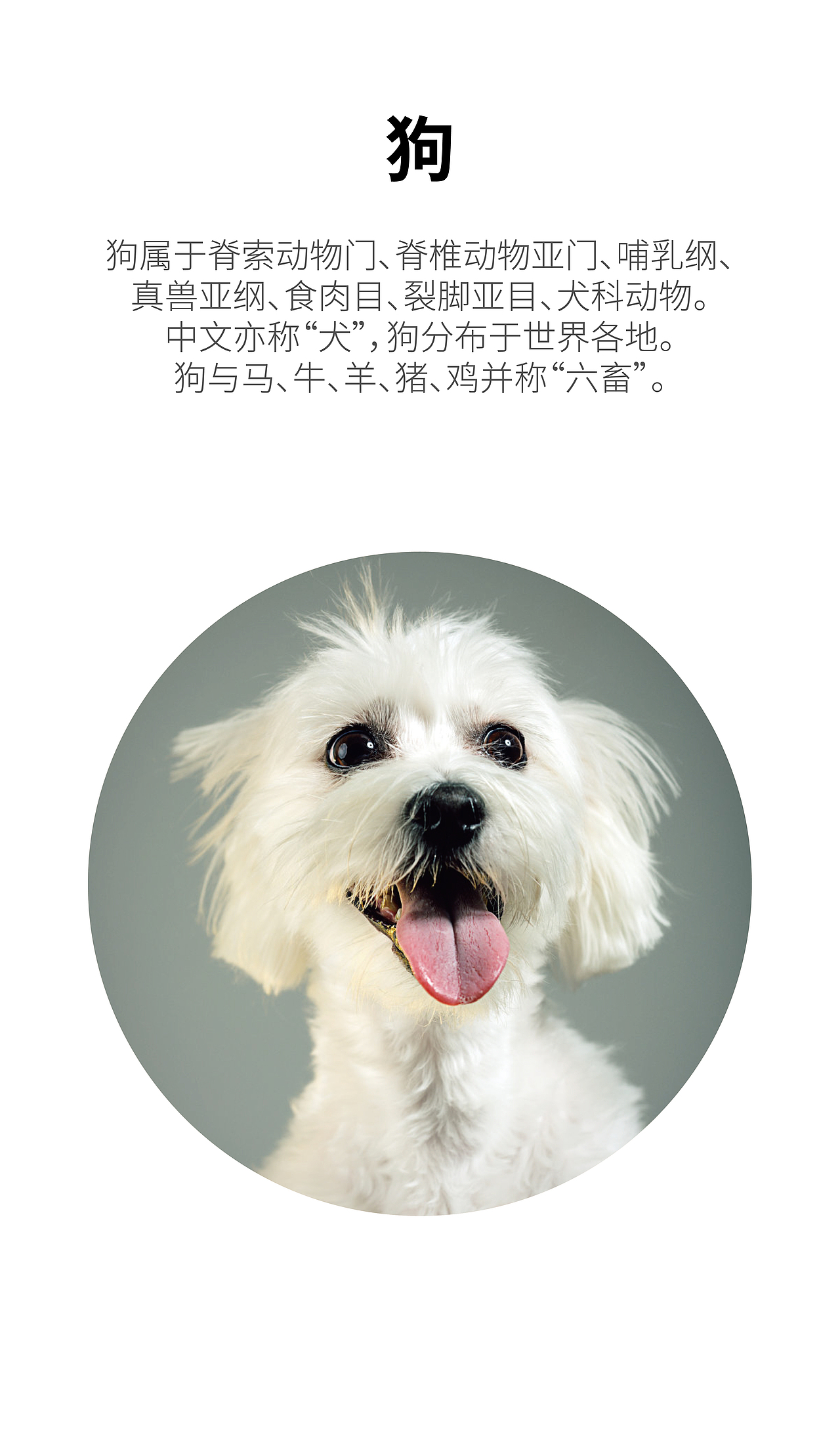 装饰画一组（图ZMTc4MTI0NTcy） - 宣传物料 - 站酷设计师K_Ysparrow原创素材 - 站酷ZCOOL