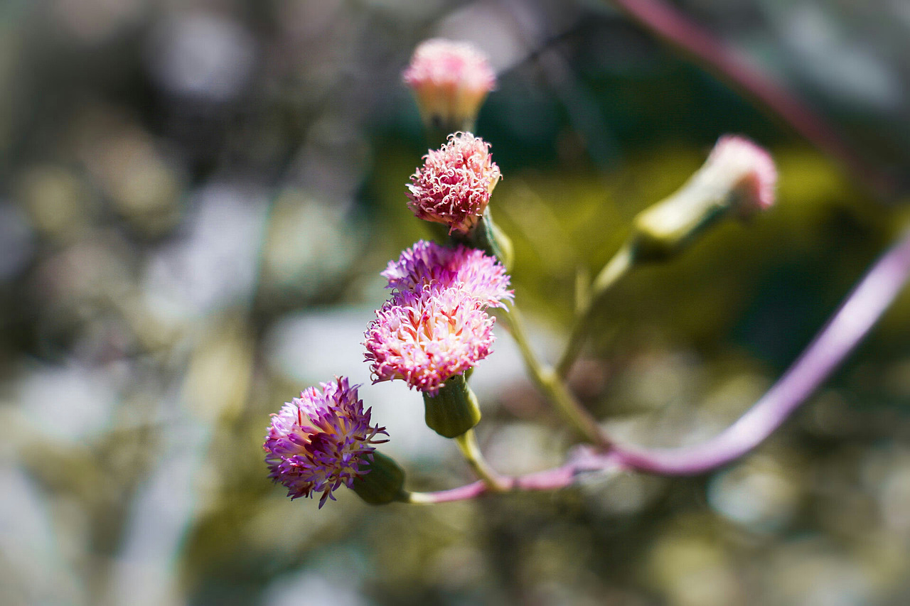 新年随手拍拍拍